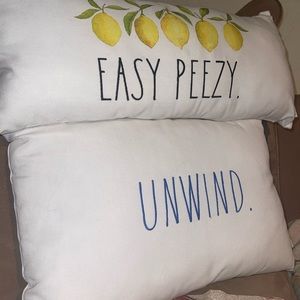 Two Throw Pillows